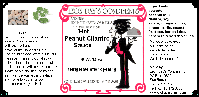 hot peanut cilantro sauce